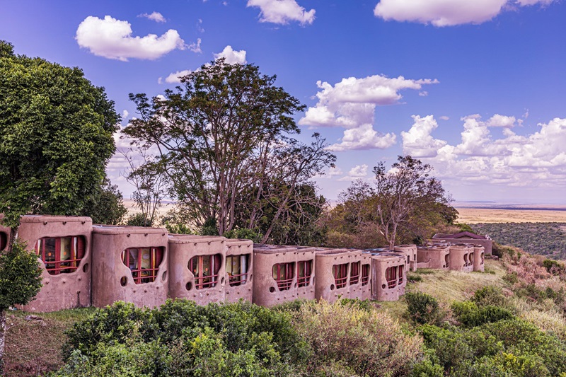 Des hébergements pour touristes en safari en Tanzanie en pleine forêt pour mieux admirer les animaux