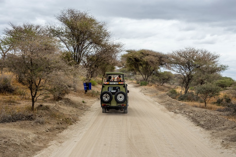 Un groupe de touristes dans un 4x4 entrain de faire un safari dans un parc en Tanzanie
