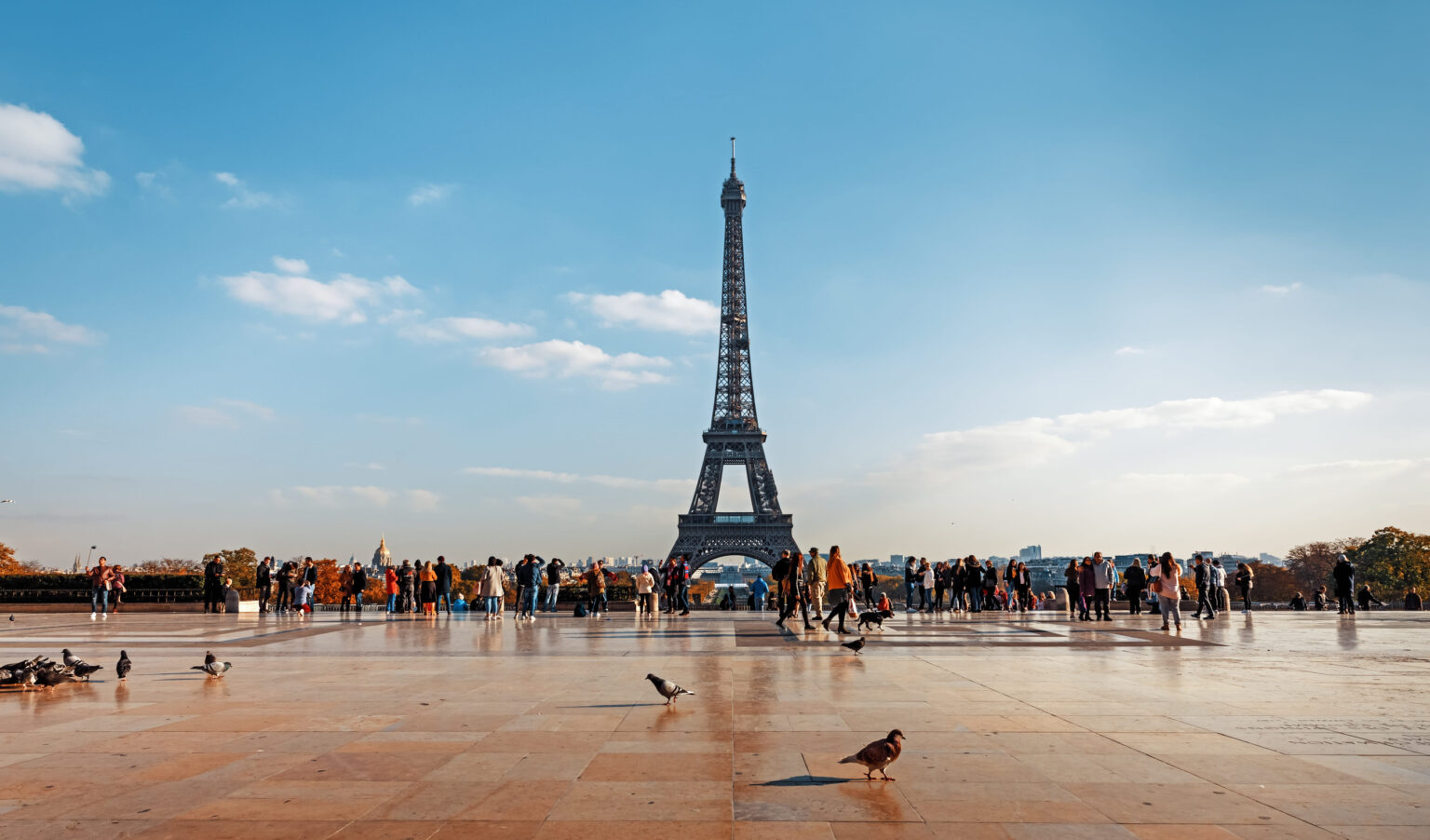 Que faire à Paris ce week-end selon la saison ?